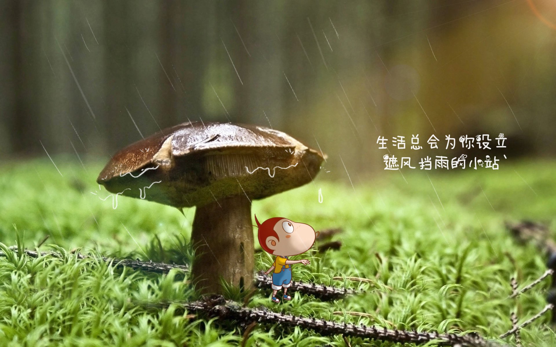 “燃烧你的激情:每一圈都令人激动不已”,燃烧的激情是什么意思