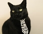 创新型青训“沉浸式体验”项目在行业内逐步普及